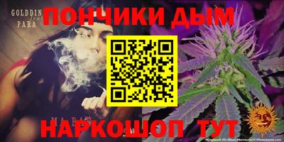 Альфа ПВП Кандалакша