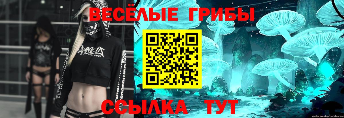 Псилоцибиновые грибы мицелий  Вход с VPN  Красный Сулин 