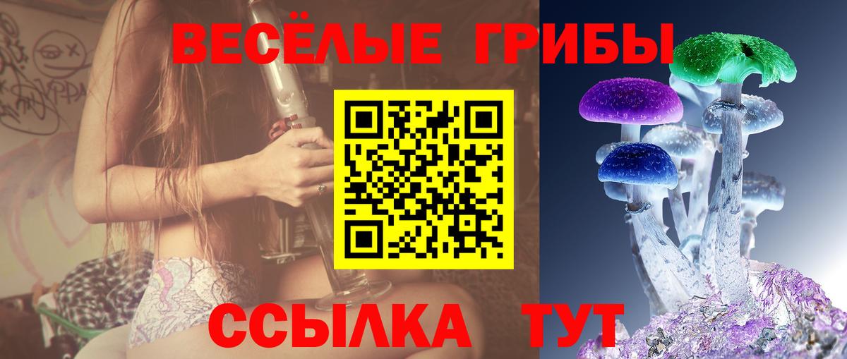 Галлюциногенные грибы MAGIC MUSHROOMS Красный Сулин